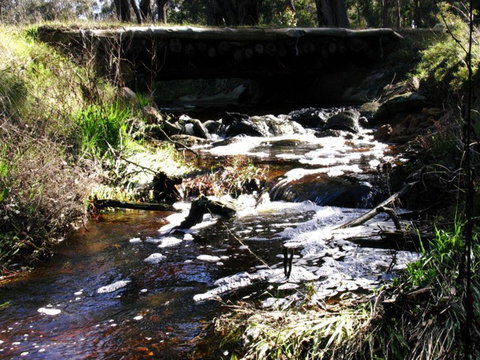 Hidden Grove Retreat - Hotel WA 4