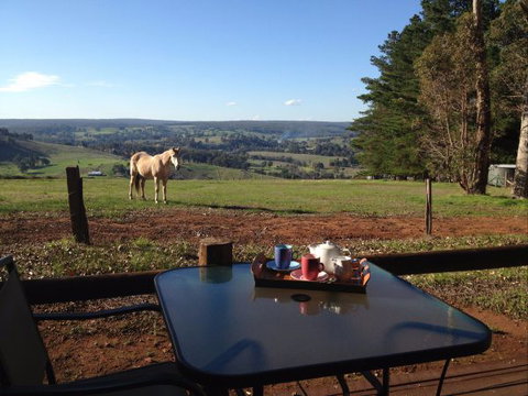 Balingup Heights Hilltop Forest Cottages - Hotel WA 7