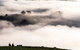 Balingup Heights Hilltop Forest Cottages - thumb 9