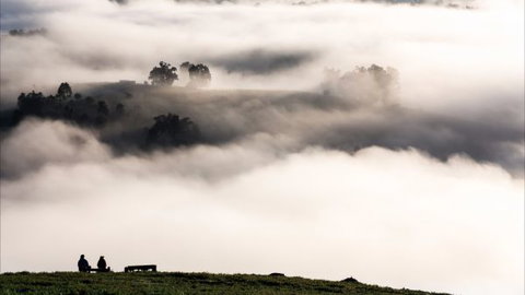Balingup Heights Hilltop Forest Cottages - Hotel WA 9
