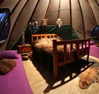 Aranyani Bison Adventure Tourist Park - Hotel WA