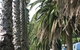 Barlings Beach Holiday Park - thumb 2