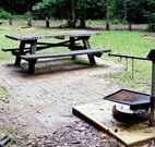 Bellbird campground - Hotel WA
