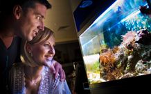BIG4 Northstar Holiday Resort And Caravan Park - Hotel WA 4