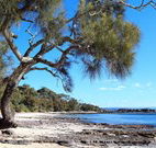 Currarong Beachside Holiday Park - Hotel WA