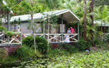 Darlington Beach NRMA Holiday Park - Hotel WA 4
