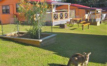 Durras Lake North Holiday Park - Hotel WA 1