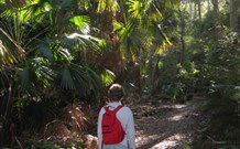 Durras Lake North Holiday Park - Hotel WA 7