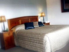 Saltbush Motor Inn - Hotel WA 4