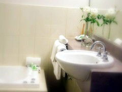 Saltbush Motor Inn - Hotel WA 5