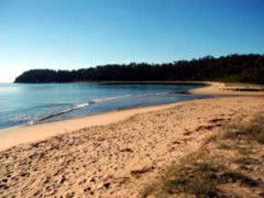 Seahorse Inn Hotel - Hotel WA 4
