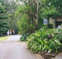 Tamborine Mountain Caravan  Camping - Hotel WA