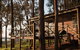 Balingup Heights Hilltop Forest Cottages - thumb 2