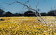 Wooleen Station - thumb 0