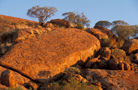 Wooleen Station - Hotel WA 1