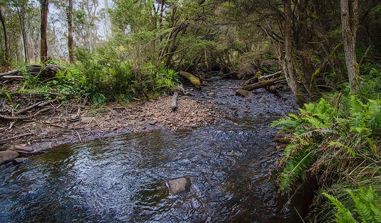 Moonan Brook NSW Hotel WA