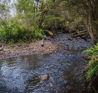 Horse Swamp campground - Hotel WA