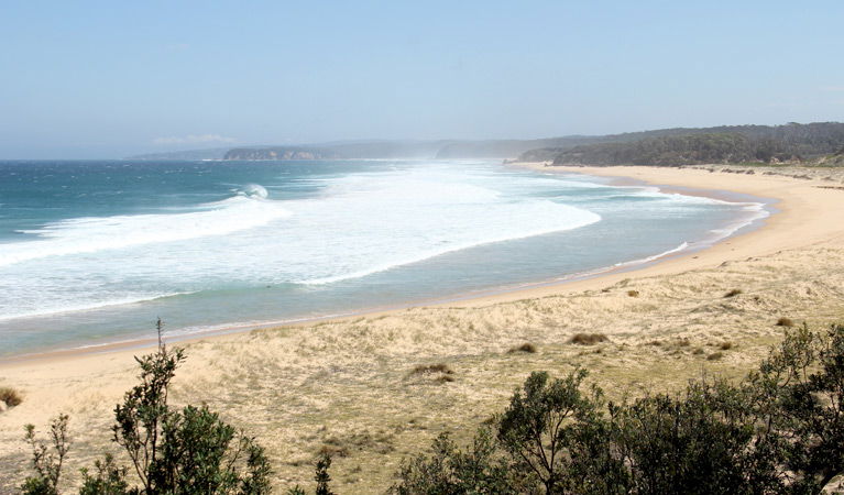 Tanja NSW Hotel WA