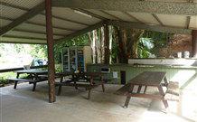 Mt Warning Rainforest Park - Hotel WA 4