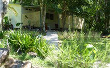 Mt Warning Rainforest Park - Hotel WA 5