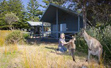 Murramarang Beachfront Nature Resort - Hotel WA 10