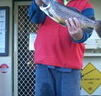 Rainbow Pines Tourist Caravan Park - Hotel WA