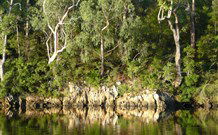 The Escape Luxury Camping - Hotel WA 5