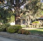 Hamilton Hume Motor Inn - Yass - Hotel WA