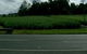 Poinciana Motel - Murwillumbah - thumb 1