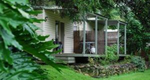 Mt Warning Rainforest Park - Hotel WA 6
