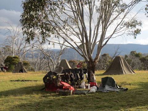 Reynella Homestead And Horseback Rides - Hotel WA 1