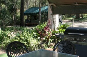 Tamborine Mountain Caravan & Camping - Hotel WA 2
