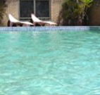 Toreador Motel - Coffs Harbour - Hotel WA