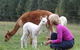 Joselands Country Accommodation - thumb 2