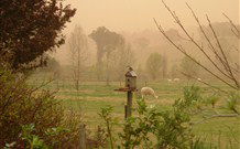 Joselands Country Accommodation - Hotel WA 3