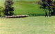 Gooromon Park Cottages - thumb 0