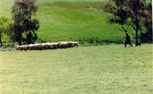 Gooromon Park Cottages - Hotel WA 0