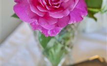 Newcastles Bed And Breakfast - Hotel WA 3