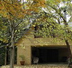Rose Lindsay Cottage