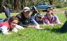Murwillumbah  YHA Mount Warning - Hotel WA 2