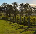 Hidden Treasure - Hotel WA