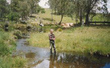 Milton Country Retreat - Hotel WA 1