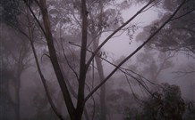SeaChange Holiday Cottage And SeaStay Cottage - Hotel WA 4