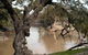 Valley View Cottage Hunter Valley - thumb 0