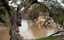 Valley View Cottage Hunter Valley - Hotel WA 0