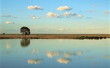 Valley View Cottage Hunter Valley - Hotel WA 4
