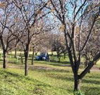 Worrowing Boat Shed - Hotel WA