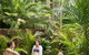 Gaia Retreat And Spa - thumb 1