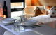 Room Motels Kingaroy - thumb 0