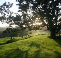 Kilfeacle Farm Cottage - Hotel WA